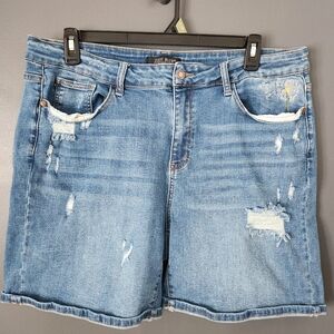 Judy Blue Women's 3XL Dandelion Distressed Shorts